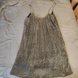 Paper Crane Metallic Silver Pleated Mini Dress